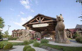 Great Wolf Lodge Ohio Mason